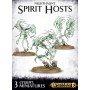 Warhammer AOS : Nighthaunt Spirit hosts