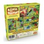 La course des tortues