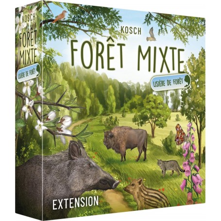 Forêt mixte : Lisière de forêt