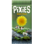 Pixies : Flower power