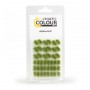 Touffes d'herbes Verdia Veldt Touffes d'herbes Verdia Veldt
