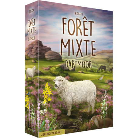Forêt mixte : Dartmoor